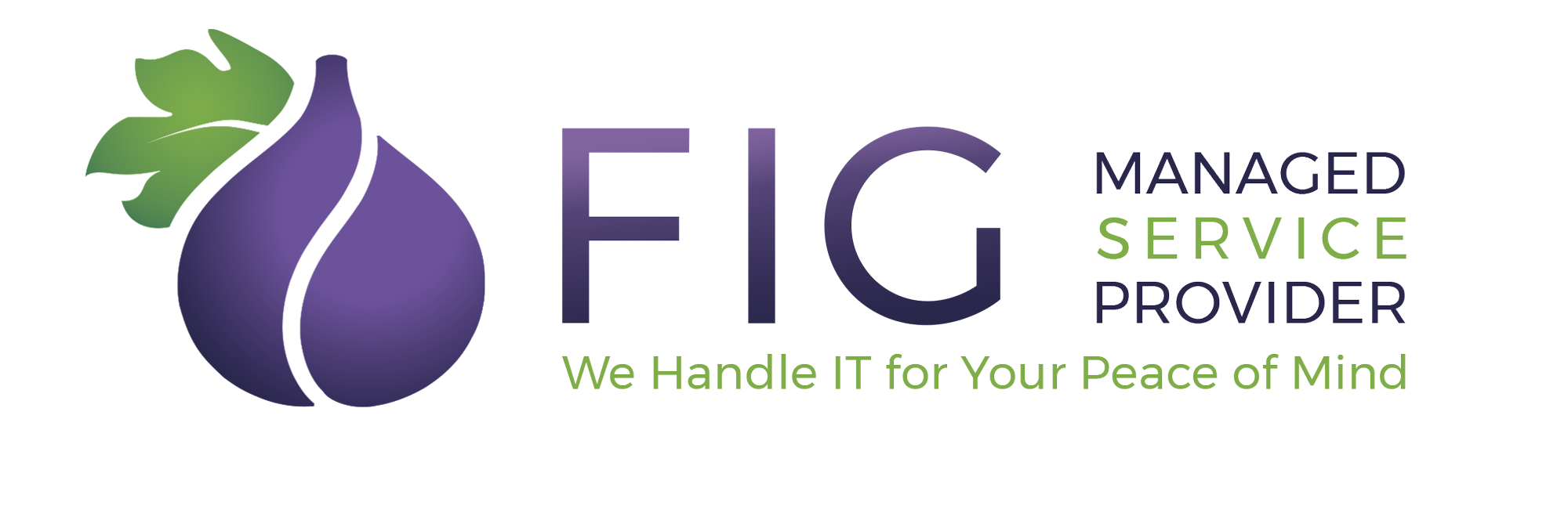 FIG MSP